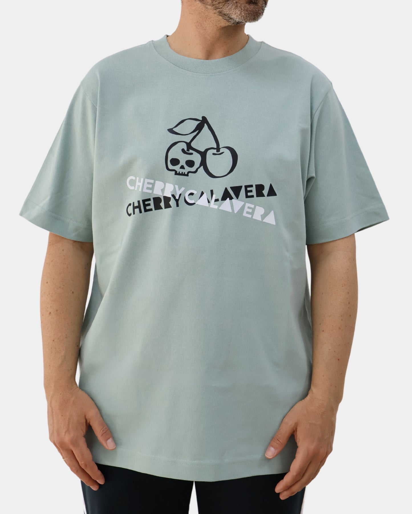 Camiseta Cherrycalavera Factory Aloe Oversized